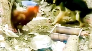 enjoy, person, unknown, fake, funny, funnyshorts, funnyvideos, febpost, febposts 3