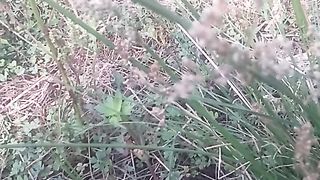 Animal lovers
