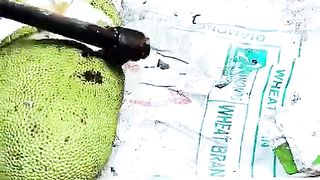 Jackfruit cutting