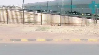Saudi arabia Rail | Train Of Ksa