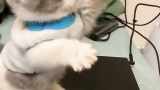 Winner for Cutest EVER? (pt 106)