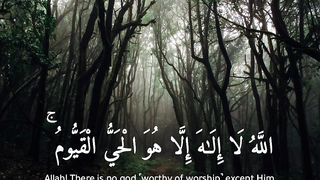 Ayat Al-Kursi _ آيَةَ الْكُرْسِيِّ _ Raad Mohammad al Kurdi _ Beautiful Quran Tilawat Translation