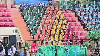 Bleachers Cheering