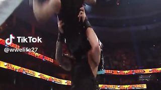 WWE реслинг 351