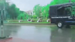 Funny Pakistani Comment videos