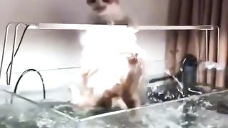 Приколи 474