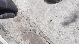 Cat Lovers 2