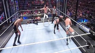 WWE реслинг 355