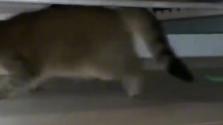 Приколи 477