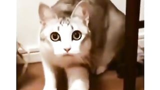 Приколи 478