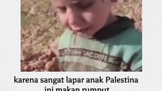 Gazan children are starving and eating grass to fill their stomachs