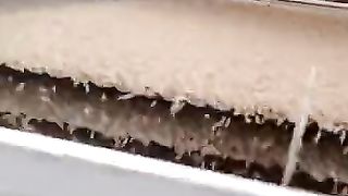 Rice machine