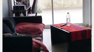 Funny Cat Vs Dog Viral Video 16