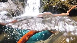 8k video 2