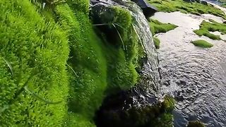 8 k video