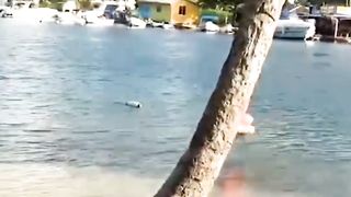 funny videos try not to laugh????????????