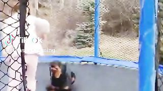 very funny dog video
