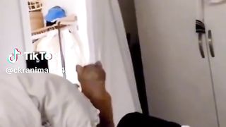 funny cat video 13