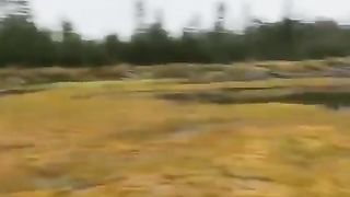 Fun | "Bog Fun for Bog Boys" - Wild Adventures | BogExploration | FunFM