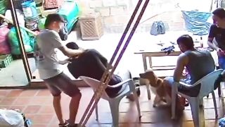 Emotions | "When This Dog Felt the Fear of This Human" - Heartfelt Connection | Emotional | FunFM