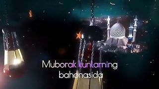 Video 311