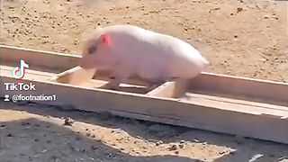 Funny videoz 10