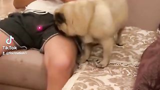 Funny videoz 11