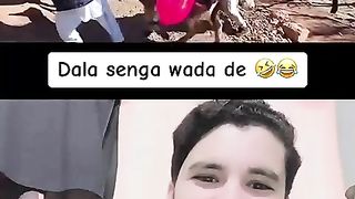 Gadha bag gaya
