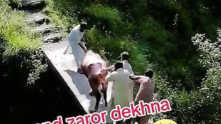 War giya