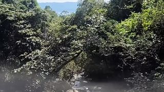Ilhabela e suas cachoeiras 2