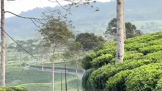 Rural views in Indonesia