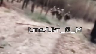 Ukraine Russia War | Ukrainian Soldiers Evacuating Casualties Near Kremennaya | RCF