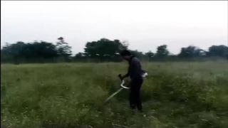 Cricket Ground Grass Cutting Start Work With Machine