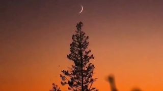 اسلام وعلیکم بھای صاحب  ادا خوشگوار زندگی رہے گے درود کی برکت سے