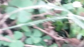 Animal's lover 242