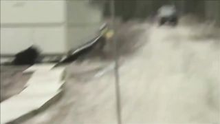 Funny video latest 2023
