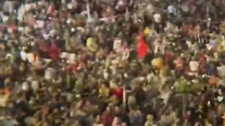انسانی معاشرے کے بنیادی ستون