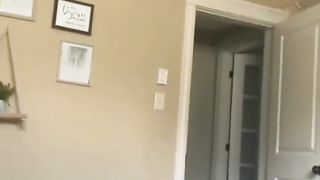 New Funny Animals 2023????Funny Cats and Dogs Videos