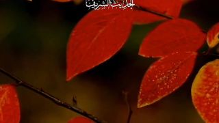 Hadees of the day #shorts #ytshorts #hadees