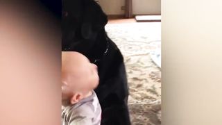 Laughing With Furry Kids 2023