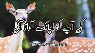 Hamare Huzoor ﷺ Aur Hirni Ka Waqia - Urdu Status  Status Videos 4k Full Screen Part 1