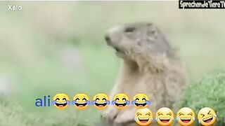 مقطع كوميدي مضحك