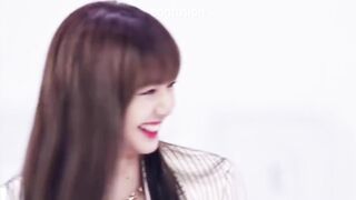 mentor lisa in a nutshell