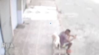 Weirdest thing caught on camera