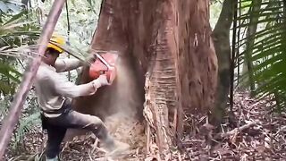 070 Chainsaw action