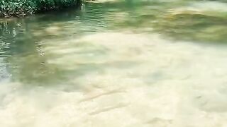 Never seen before in forest peradise