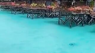 Beautifull viewer
