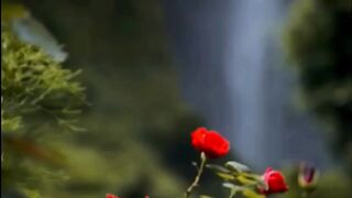 Soun Nature waterfall for sleep relax studying