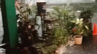 What is the prediction of heavy rain as a result ???????????????