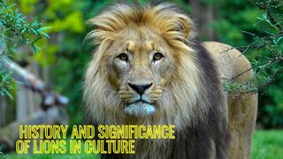 History and Significance of Lions in Culture and Mythology".